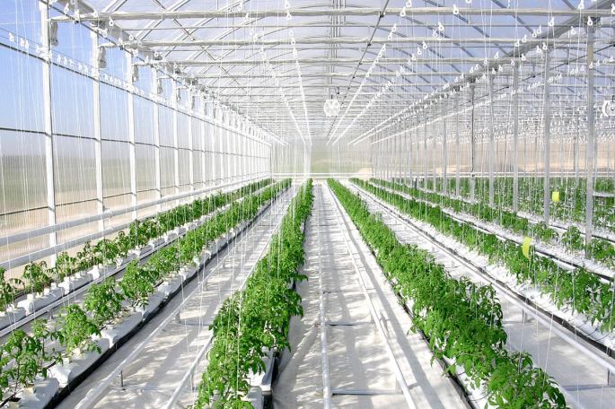 واردات تجهیزات گلخانه ای